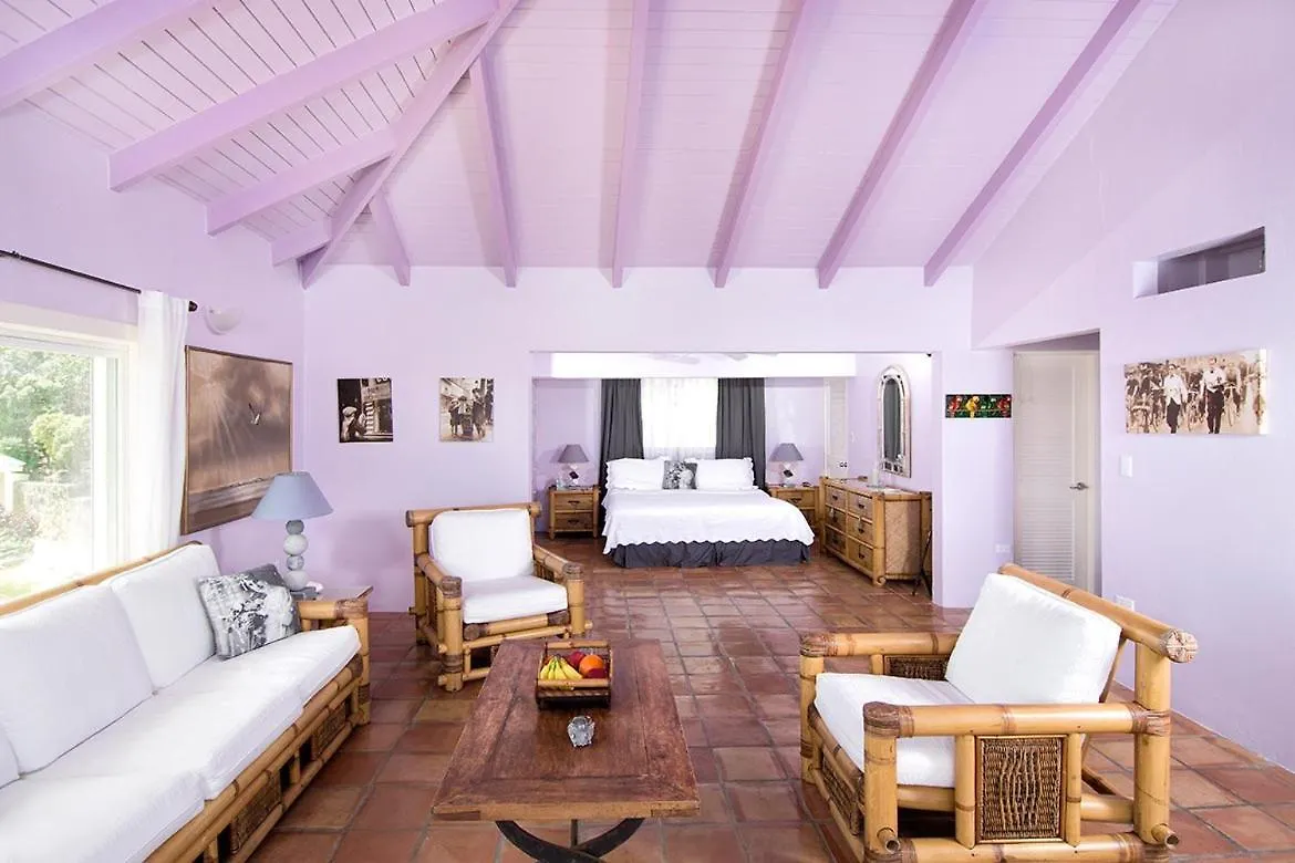 Villa Luminara- Lux Pool, Garden, Retreat & Beach Oyster Pond
